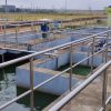 Cụm công nghiệp Nam Hà: Sẵn sàng vận hành với hạ tầng đồng bộ và cam kết phát triển bền vững