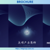 BROCHURE GIỚI THIỆU CỤM CÔNG NGHIỆP MỸ THUẬN